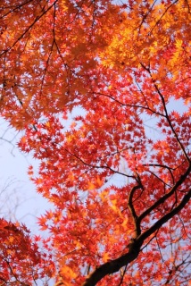 (untitled)