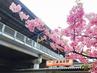 Ԍ