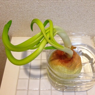 rԂʂ˂
