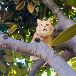 ǂNɂȂ悤ɁI