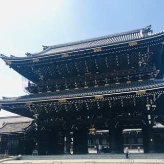 {莛