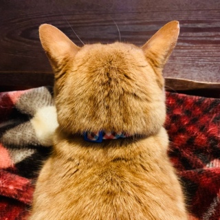 ˂