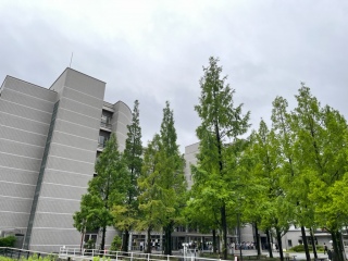 ƋXV